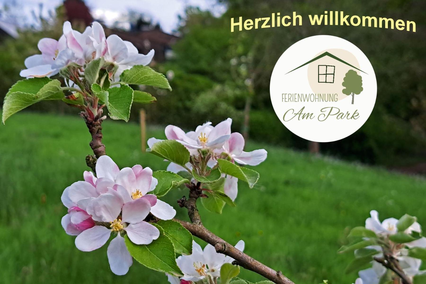 Grosszuegige Wohnung Am Comberg-Park Mettmann Exterior photo
